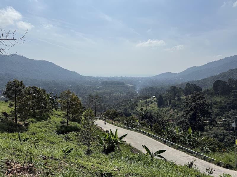 Samui Viewpoint & Jungle Road Drive