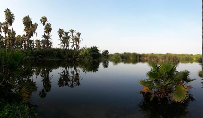 San José Estuary & Bird Sanctuary Stroll