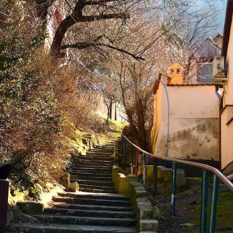 Schei Neighborhood Stroll