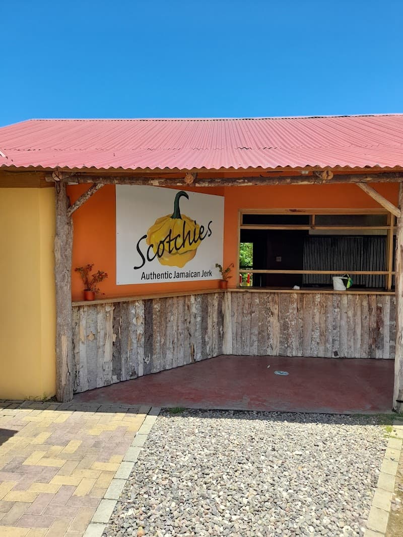Jamaica Adventure & Chill: Days 7–8 in Paradise