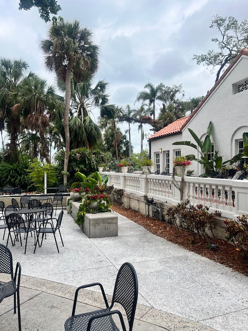 Mangroves, Gulf Breezes, and a Wild Sarasota Weekend