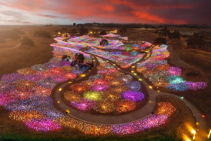 Field of Light at Sensorio