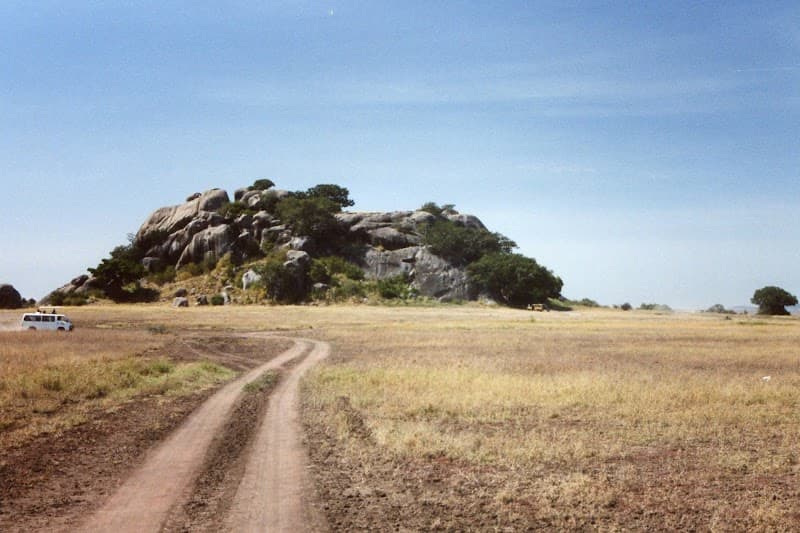 Serengeti Day 1: Wildlife Wonders Await