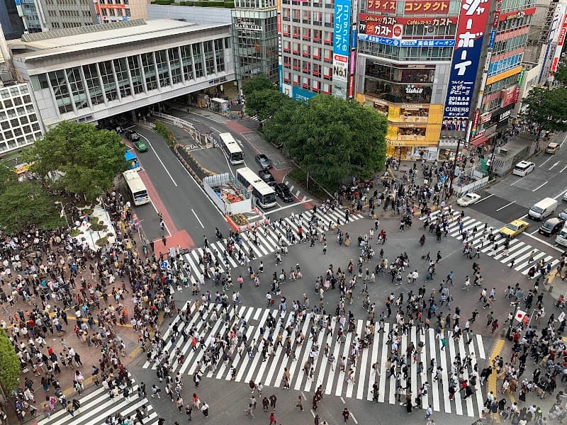 Shibuya Crossing & Mag's Park