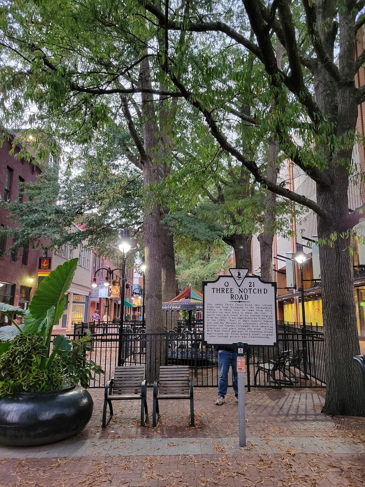 Shopping on Downtown Mall