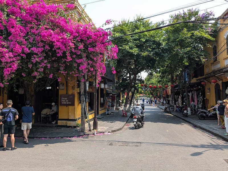 Lanterns, Coconut Palms & Calm Streets in Hội An Old Town