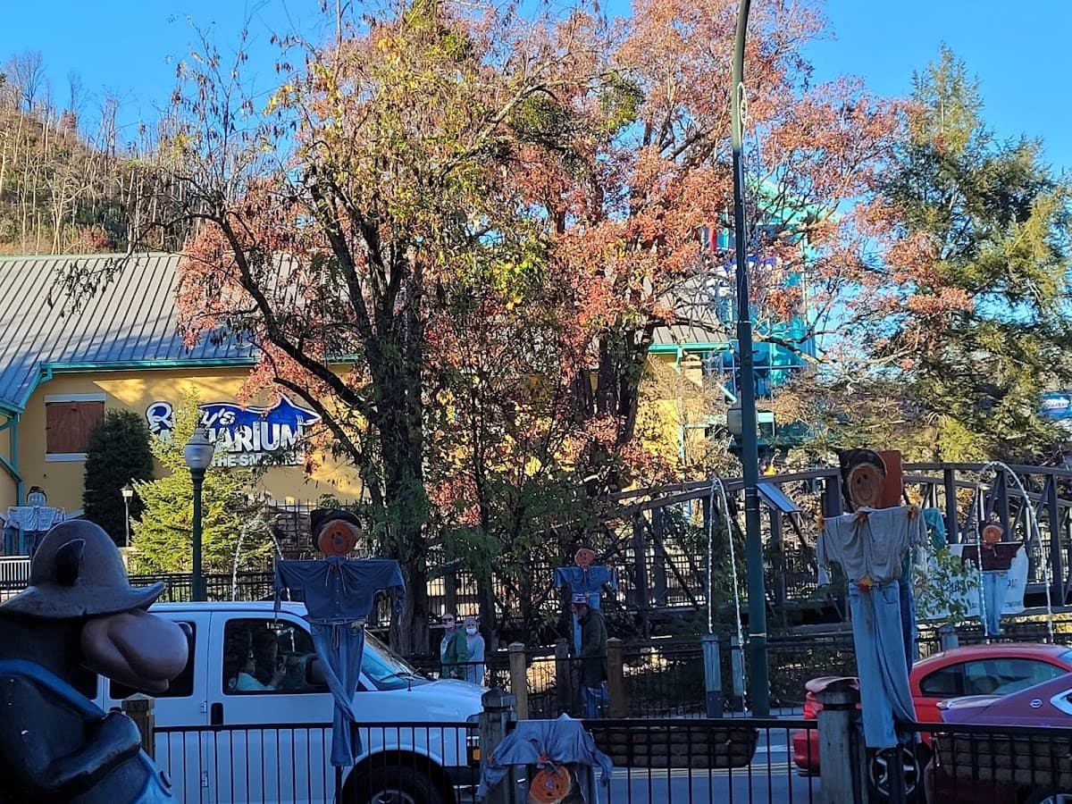 Smoky Mountain Fudge Cart