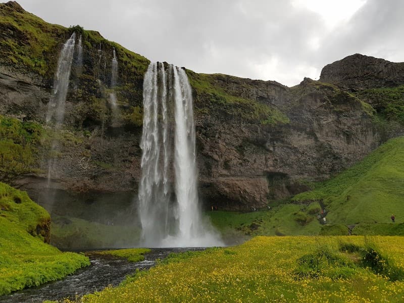 Iceland in 7 Days: Waterfalls, Food, and Easy Adventure
