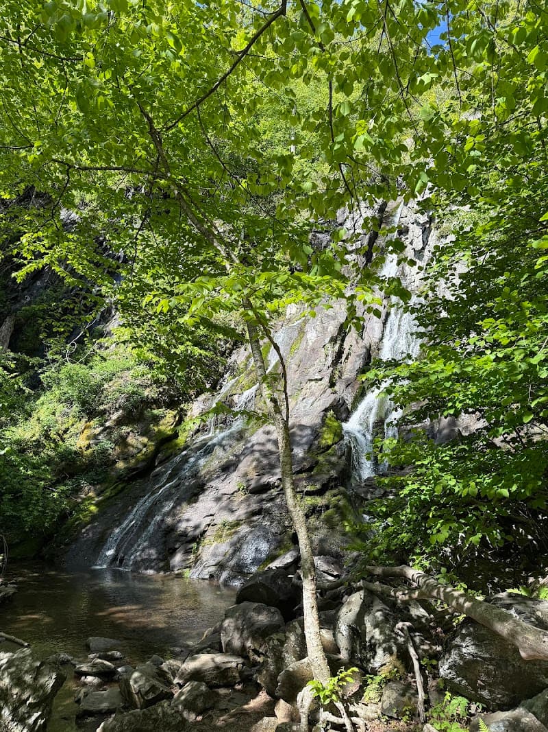 South River Falls Trail