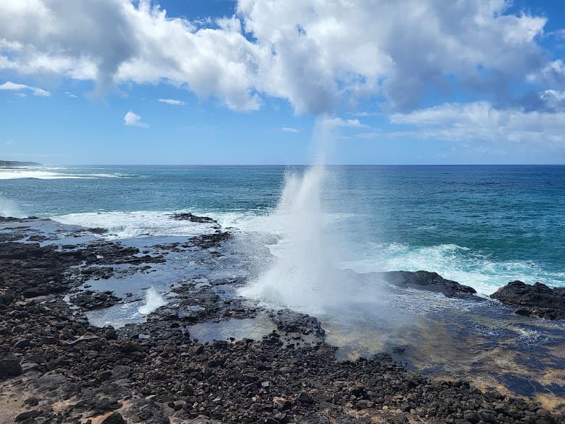 Spouting Horn Blowhole