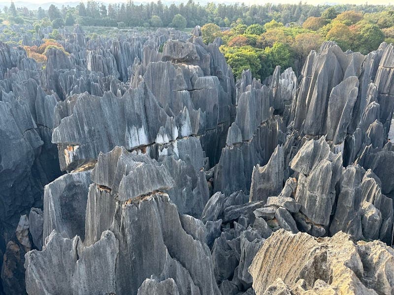 Stone Forest (Shilin Geological Park)
