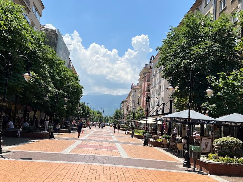 Stroll Vitosha Boulevard
