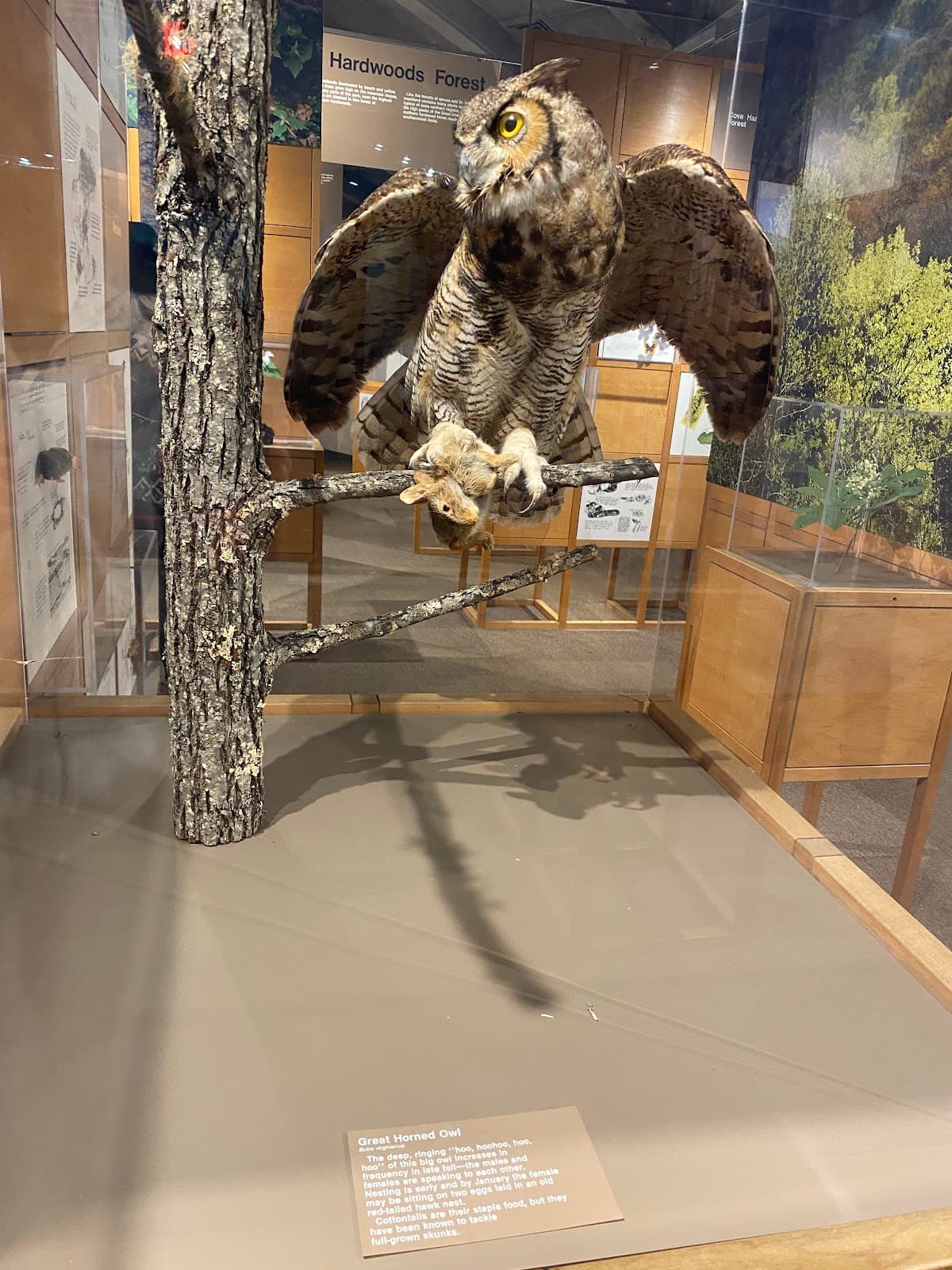 Sugarlands Visitor Center