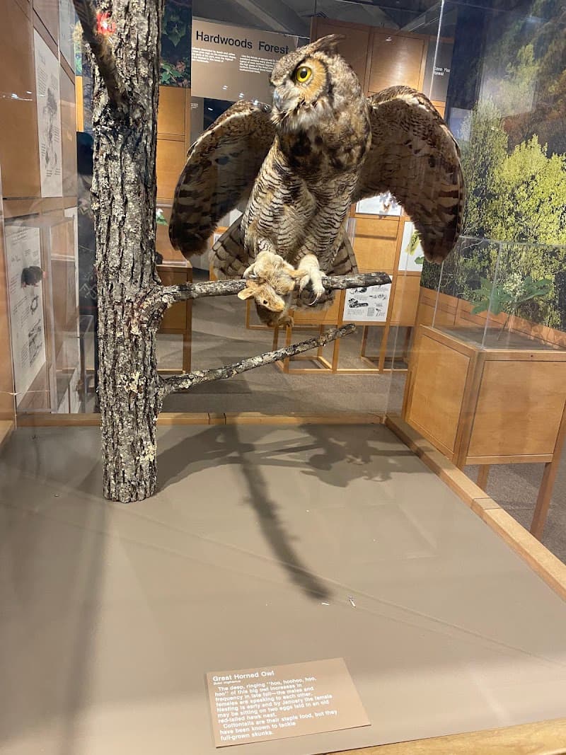 Sugarlands Visitor Center