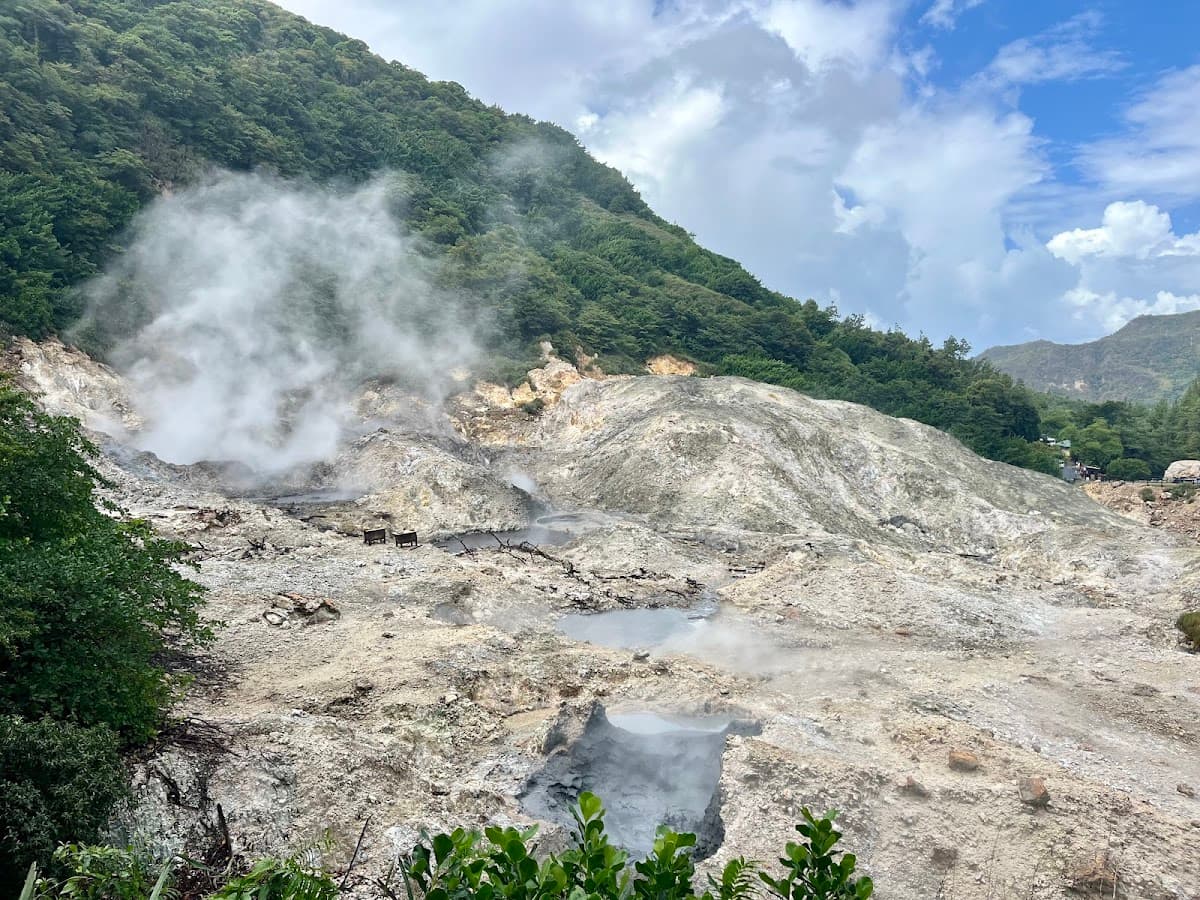 Sulphur Springs