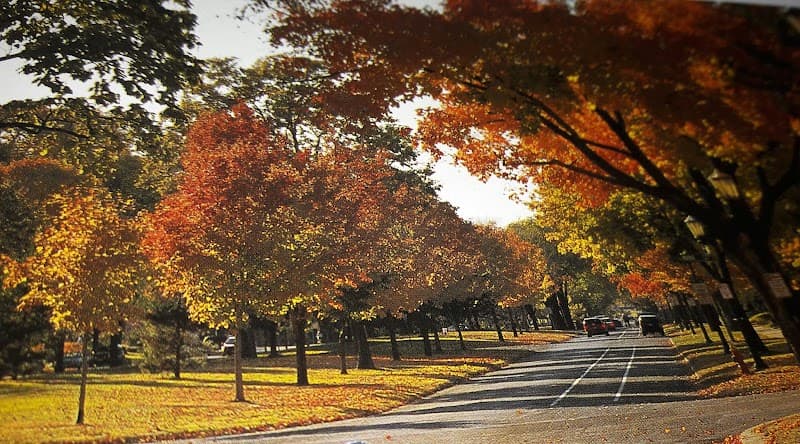 Summit Avenue Walk