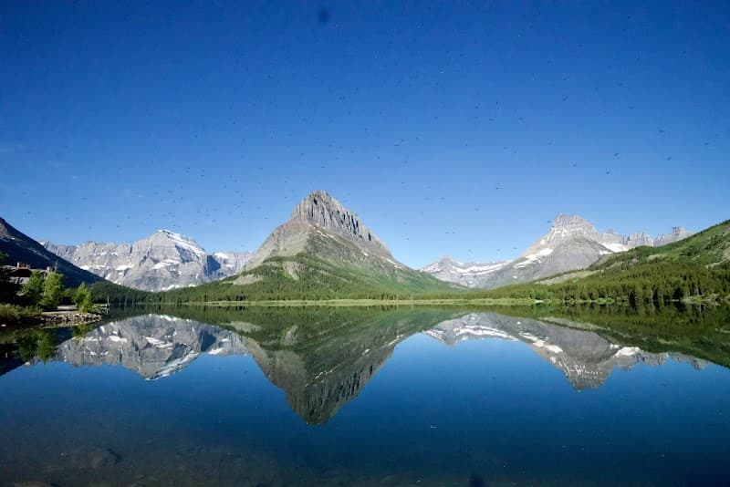 Swiftcurrent Lake Nature Walk