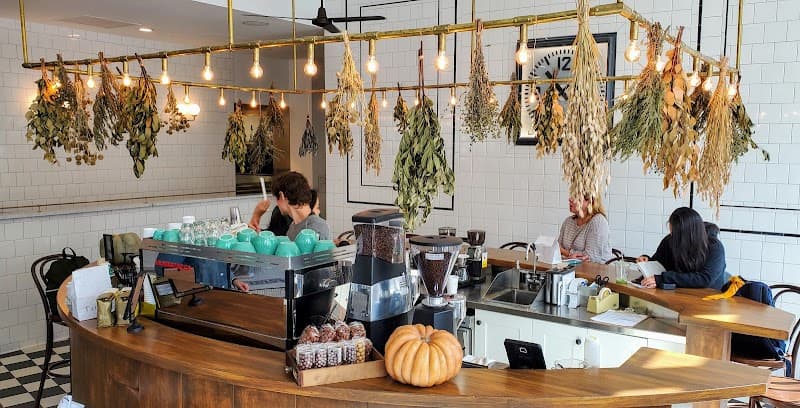 Tatte Bakery