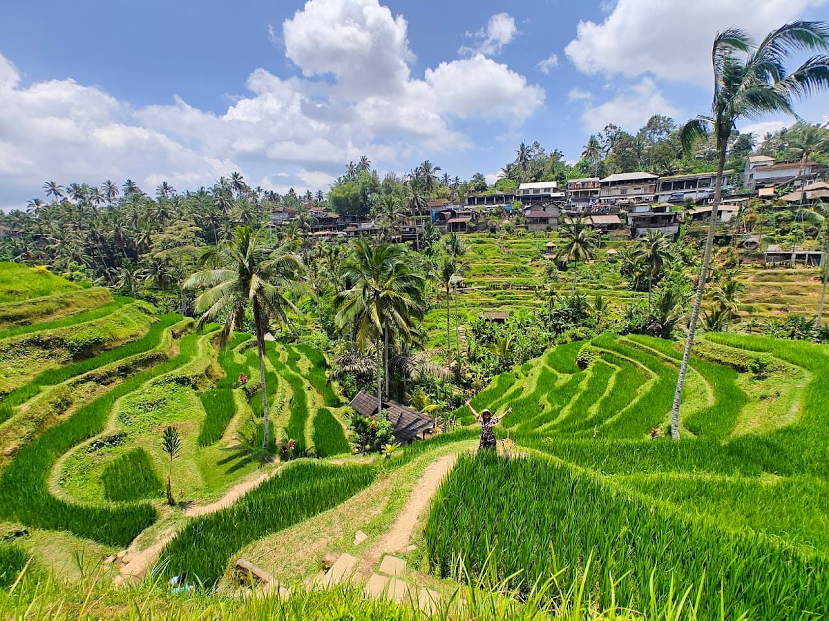 Tegalalang Rice Terrace Sunrise Walk