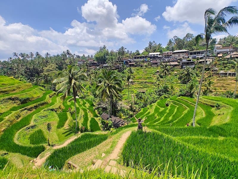 Tegallalang Rice Terraces
