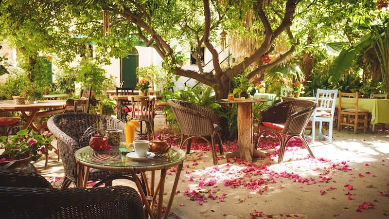 Mallorca Family Escape: Coves, Castles & Jungle Vibes
