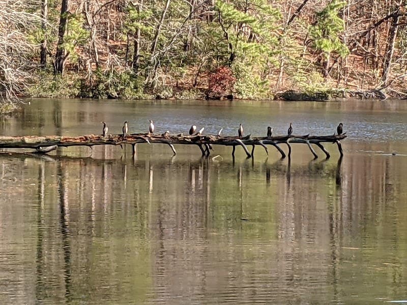 The Noland Trail at Lake Maury