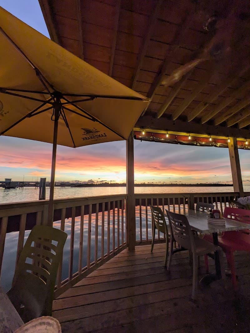 The Old Salty Dog - Sarasota