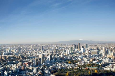 The Ritz-Carlton Tokyo (Budget Alternative: Cerulean Tower Tokyu Hotel)