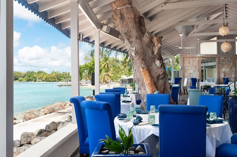 Bohemian Bliss: Barbados Days 3-4