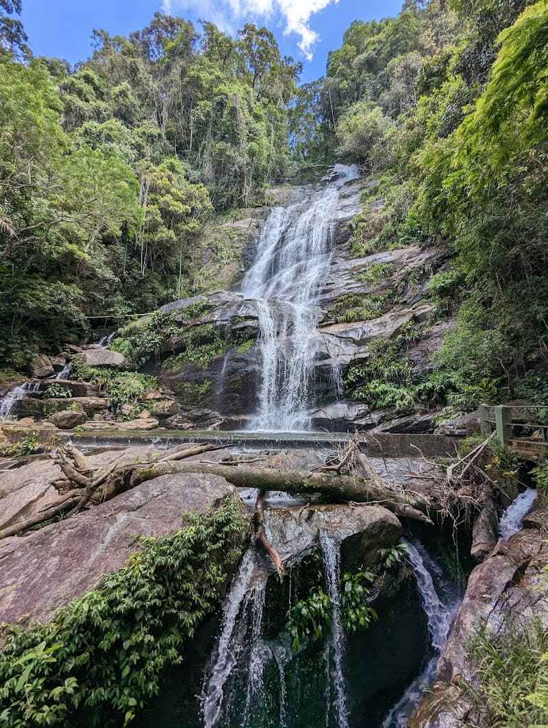Tijuca National Park Scenic Stop