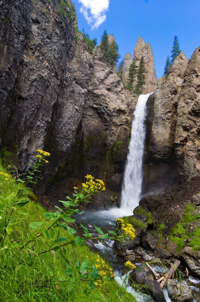 Tower Fall Overlook & Yellowstone River Canyon