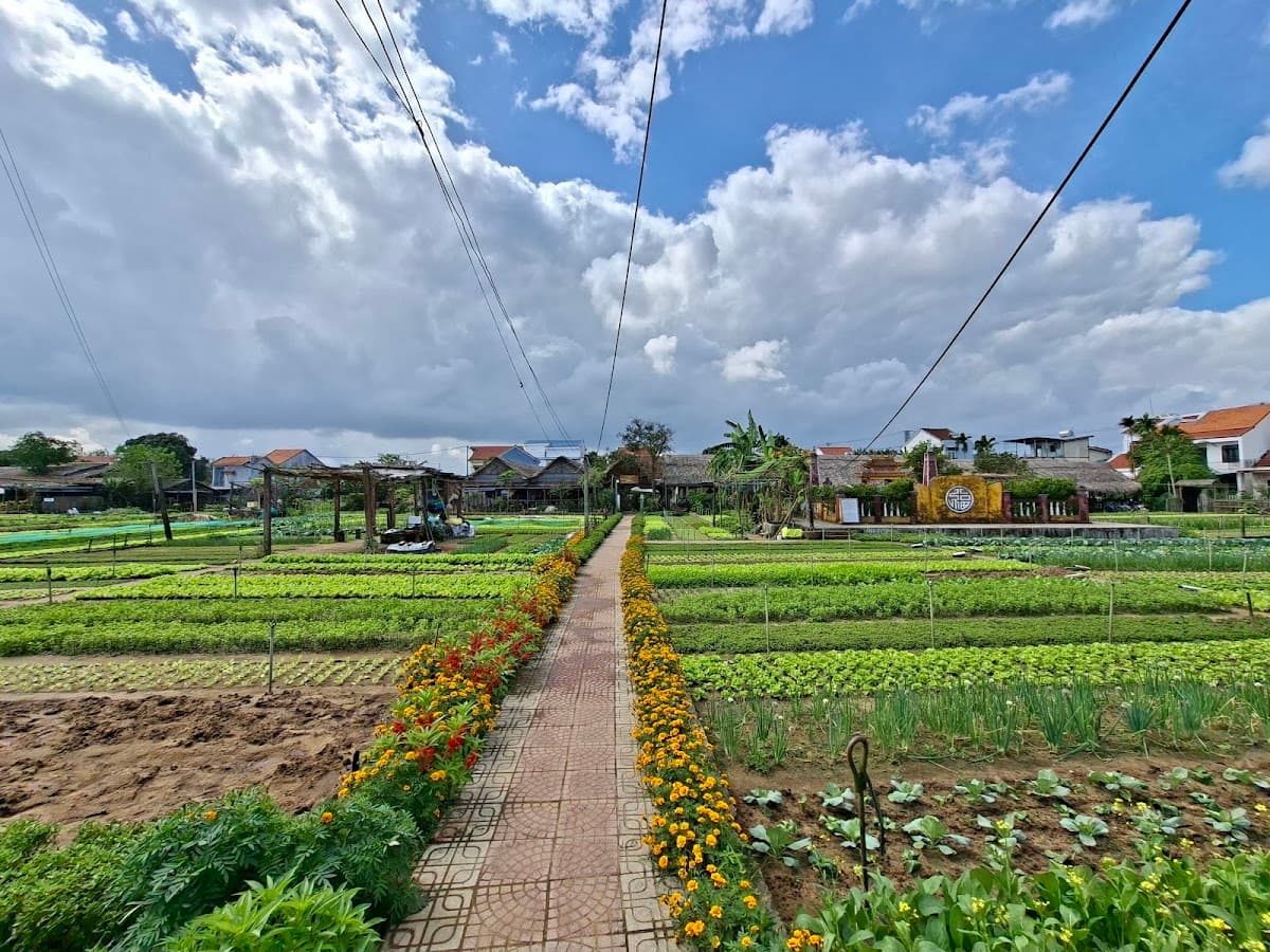 Tra Que Vegetable Village