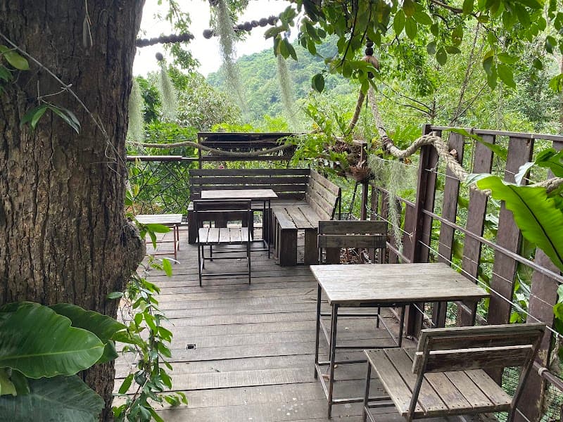 Tree Bridge Café