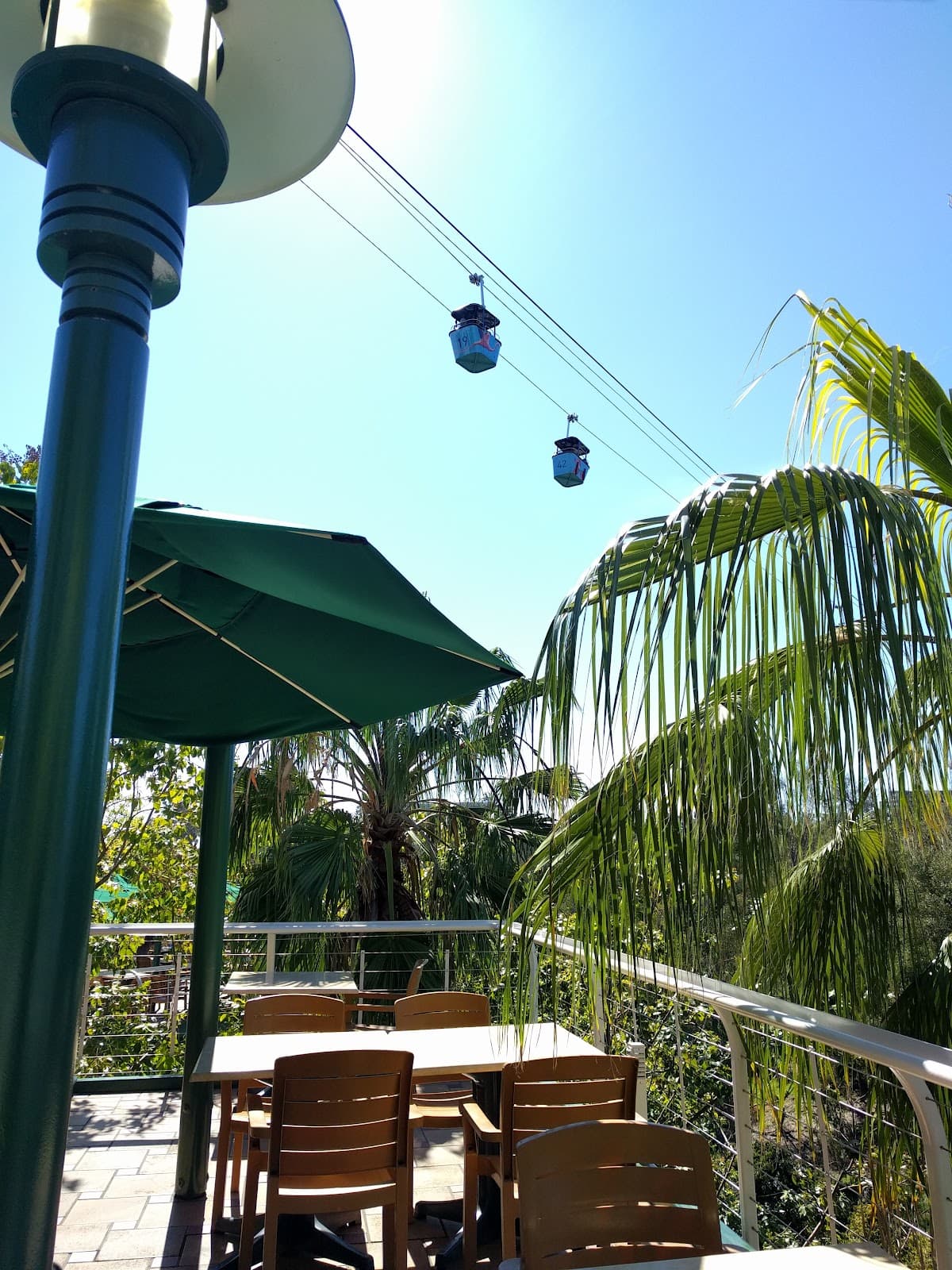 Treetops Bistro (at San Diego Zoo)