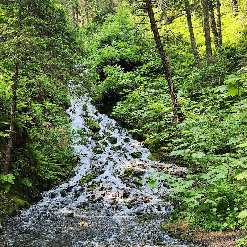 Two Lakes Park Mossy Forest Loop