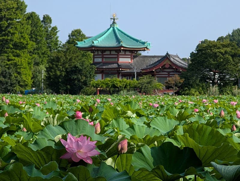 Ueno Park and Shinobazu Pond