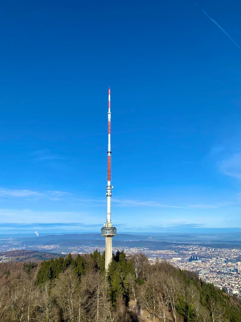 Uetliberg Mountain Hike