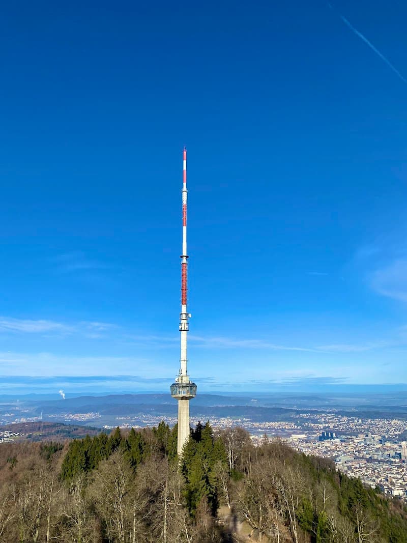 Uetliberg Mountain Viewpoint
