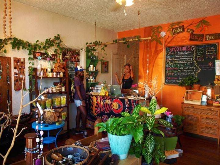 7 Slow, Sunny Days in Jungle-Wild Miami Beach