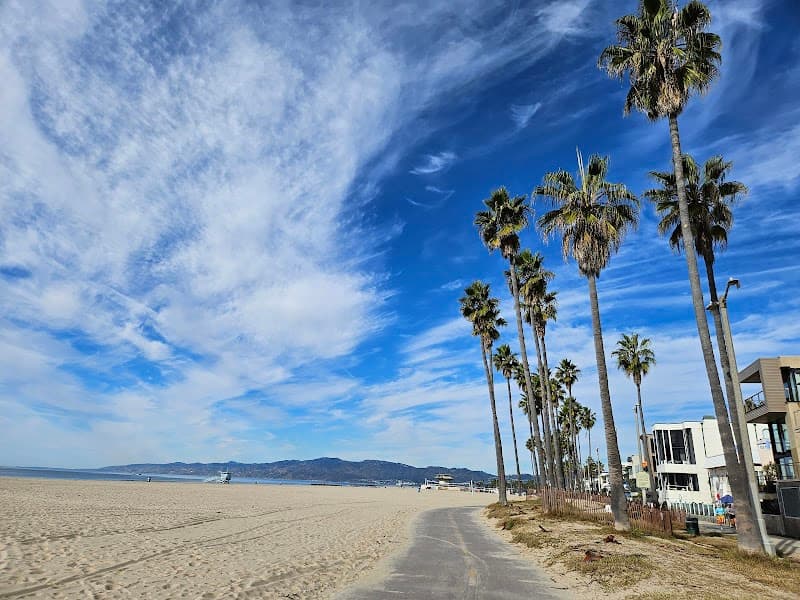 Venice Beach Surf Lesson (Venice Breakwater area)