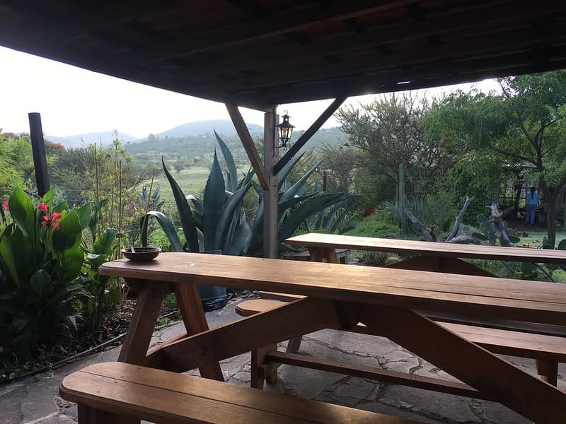 Seven Serene Days in San Miguel de Allende