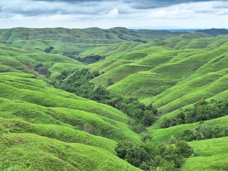 Seven Days of Wild Sumba: Beaches, Villages, and Clifftop Sunsets