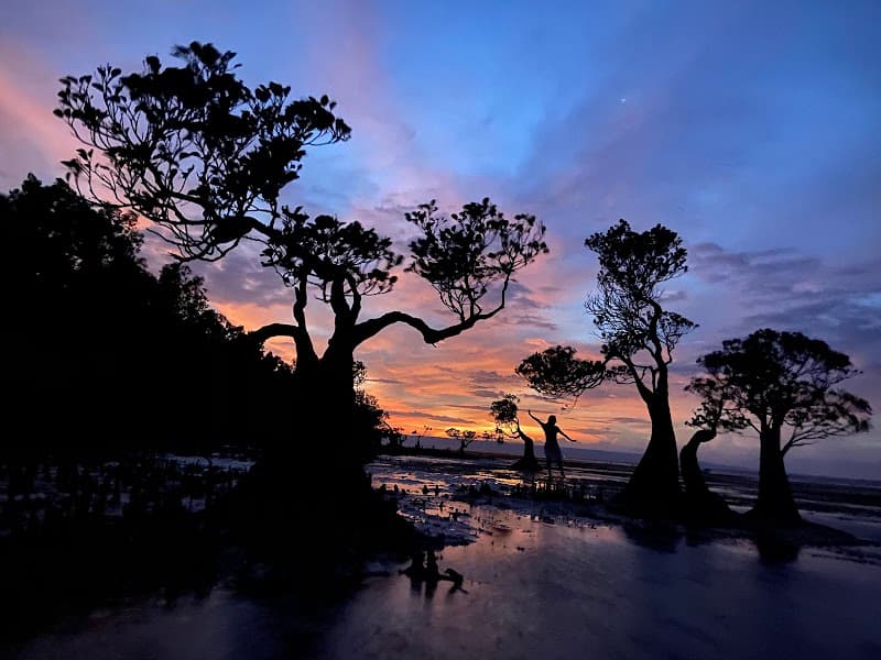 Walakiri Beach Mangrove Sunset