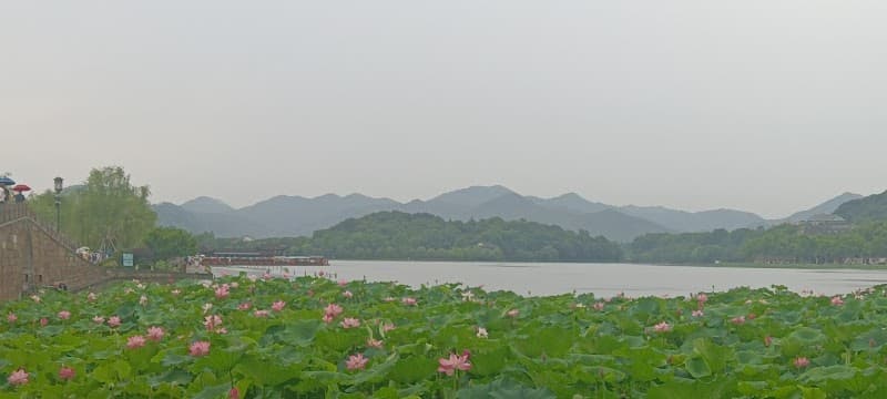 Jungle-Lake Romance: 3 Days in Hangzhou