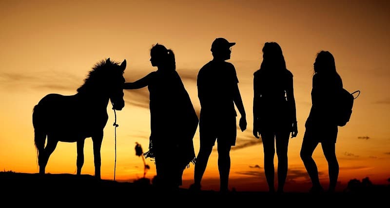 Wild Sumba: Lagoons, Savannas & Jungle Hideaways in 7 Days