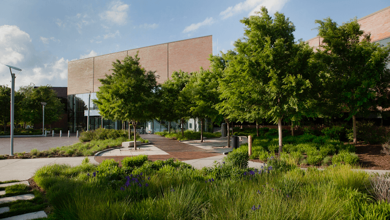 Wichita Art Museum & Riverside Park Stroll