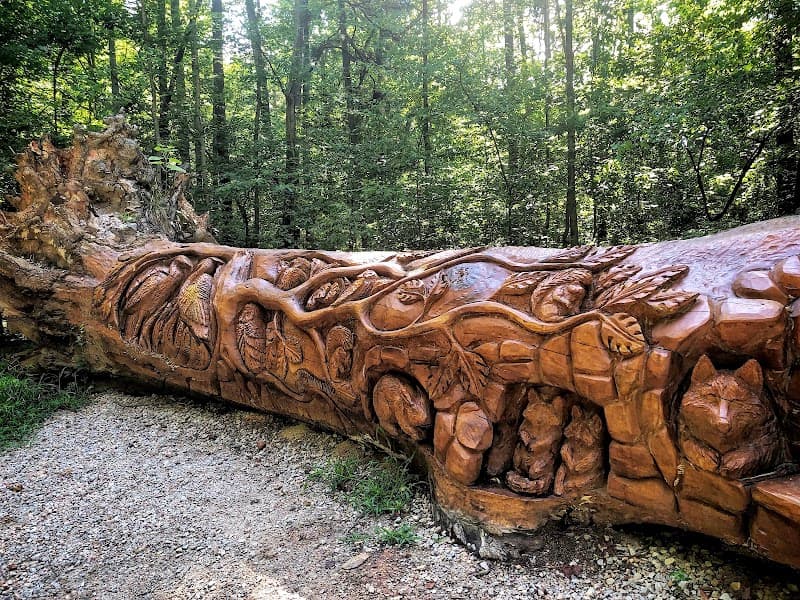 William B. Umstead State Park – Hiking