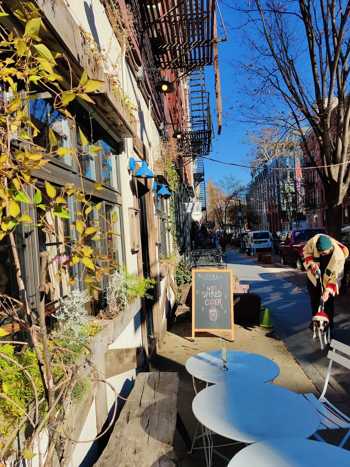 Williamsburg Street Art & Bedford Ave