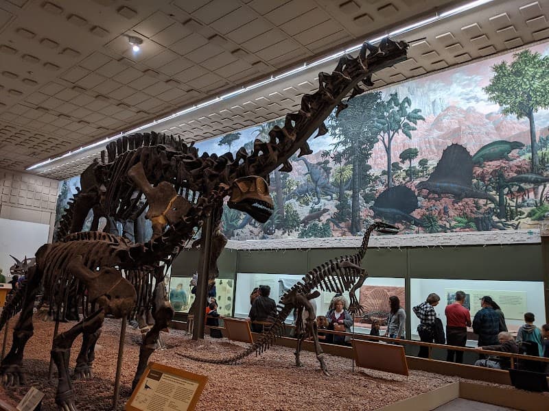 Yale Peabody Museum (Natural History)