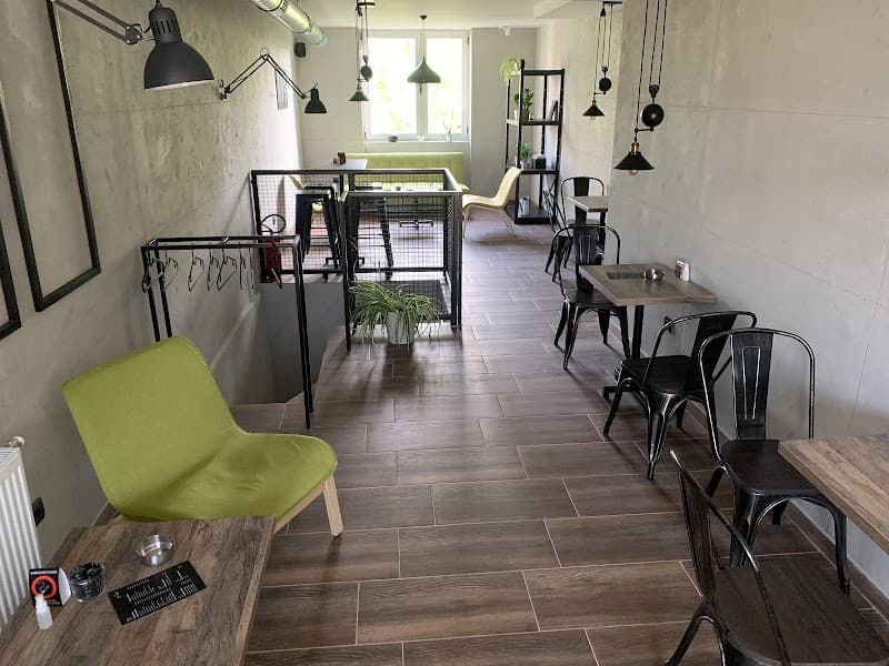 7 Days in Novi Sad: Fortress Views & Forest Vibes